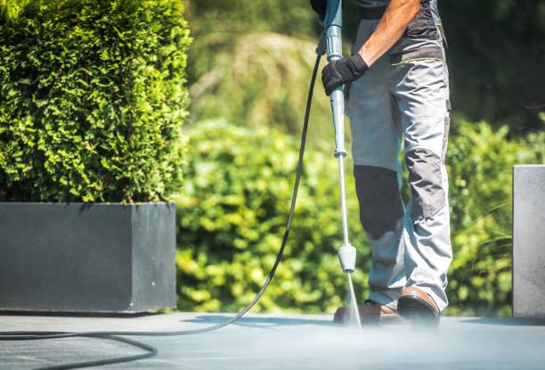 Best House Exterior Washing  in Las Lomas, TX